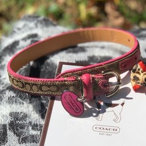 coach dog collar large